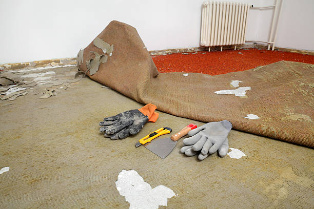Professional Carpet Repair: Carpet Repairs Vancouver