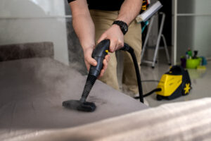 What Should You Look for When Hiring Professional Carpet Cleaners?
