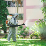 Pest Control