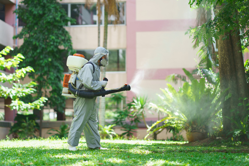Pest Control