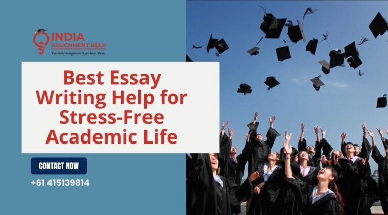 essay help