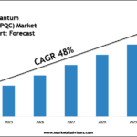 Global Post-Quantum Cryptography (PQC) Market