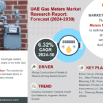 United Arab Emirates (UAE) Gas Meters Market Research Report Forecast (2024-2030)