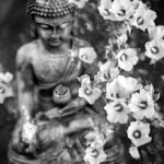 benjamin-balazs-sKmv39dsjZI-unsplash