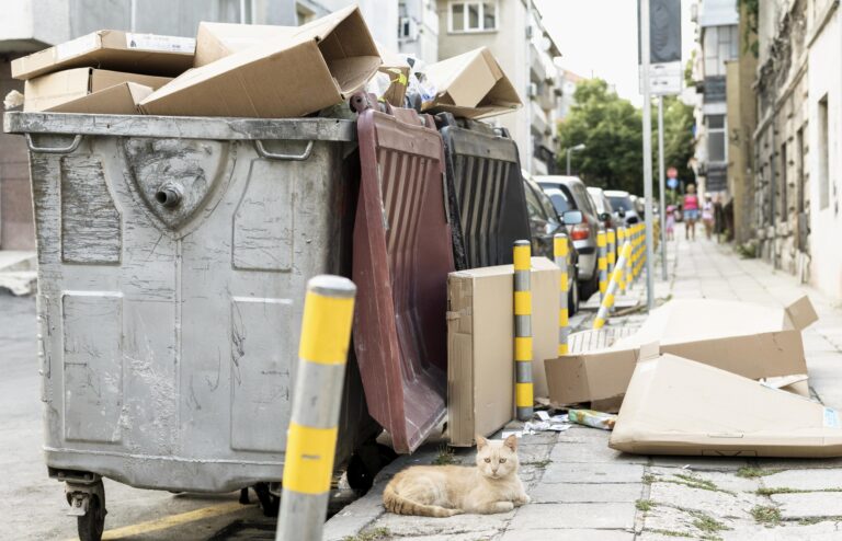 junk removal Georgia