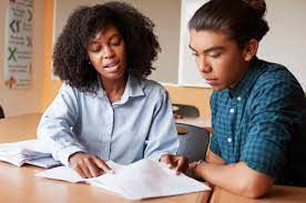 educational consultant for school counselors