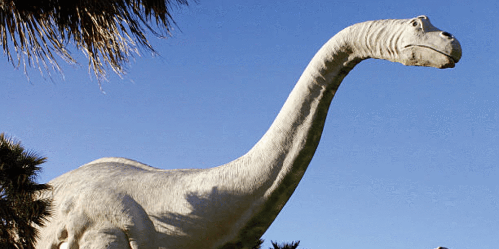 image-1200x600 (16)