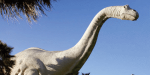image-1200x600 (16)