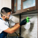 istockphoto-1270254866-612x612
