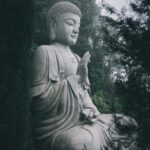 teddy-wijaya-r3PEdo0YVUA-unsplash