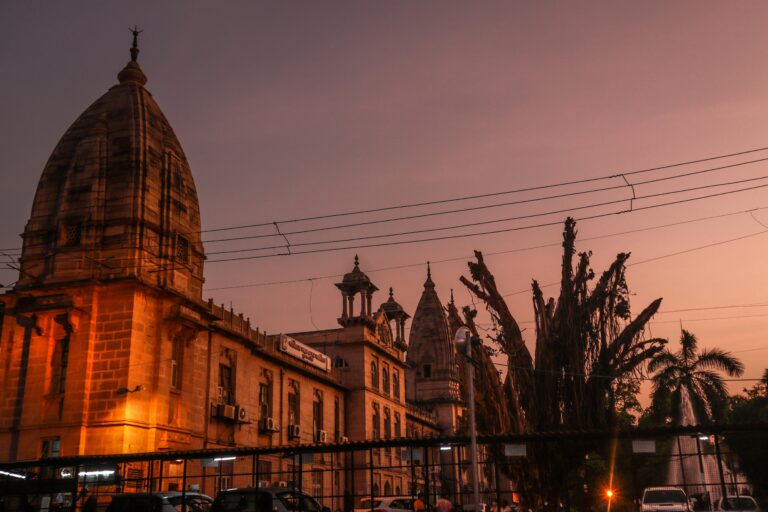 vardhan-halwai-Q0ENfyrDRM0-unsplash