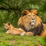 zdenek-machacek-UxHol6SwLyM-unsplash (1)