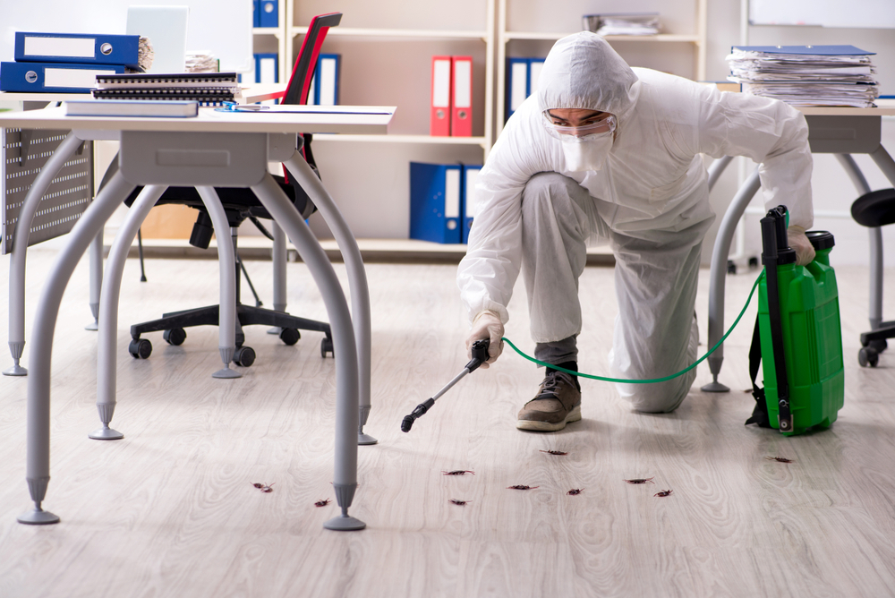 Pest Control