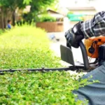 Professional Hedge Trimming Services