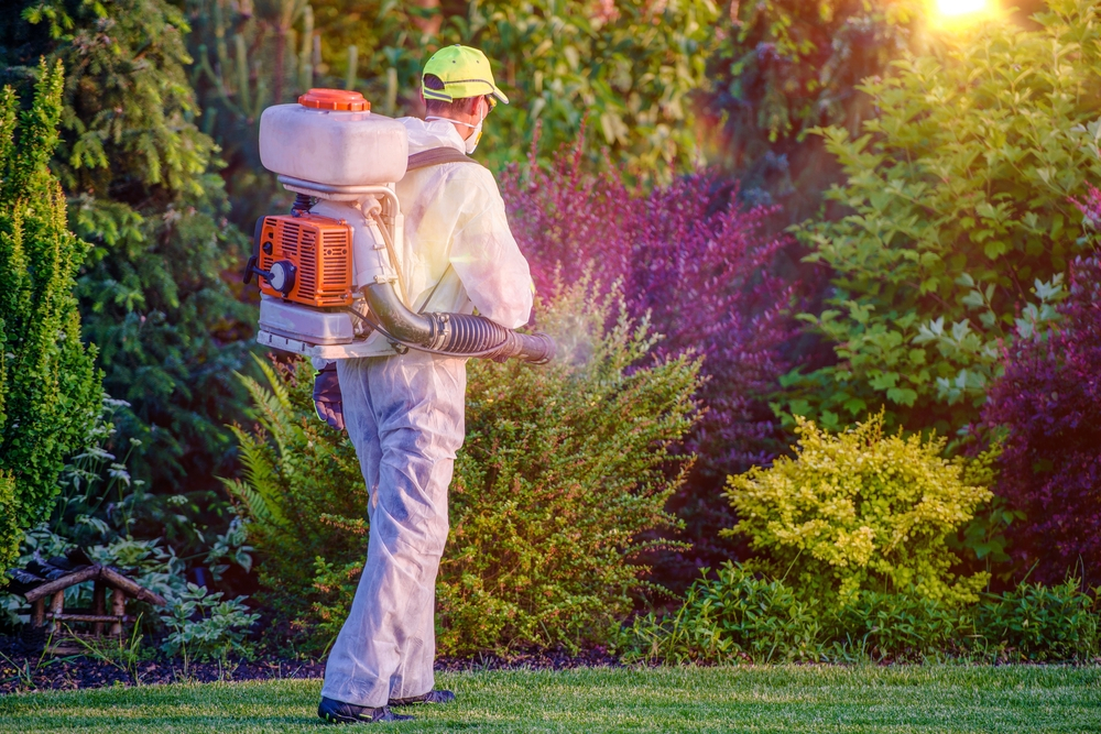Pest Control