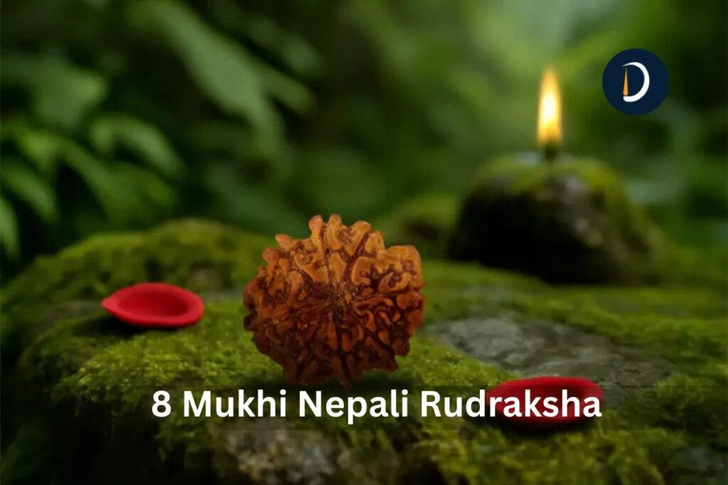 8 Mukhi Nepali Rudraksha