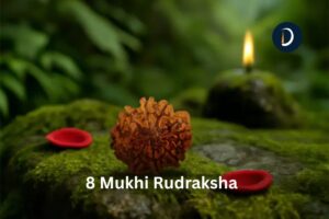 8 Mukhi Rudraksha