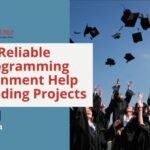 Programming Assignment Help