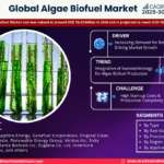 Global Algae Biofuel Market Research Report Forecast (2025-2030)