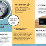 Global Smart Gas Meter Market Research Report Forecast (2025-2030)