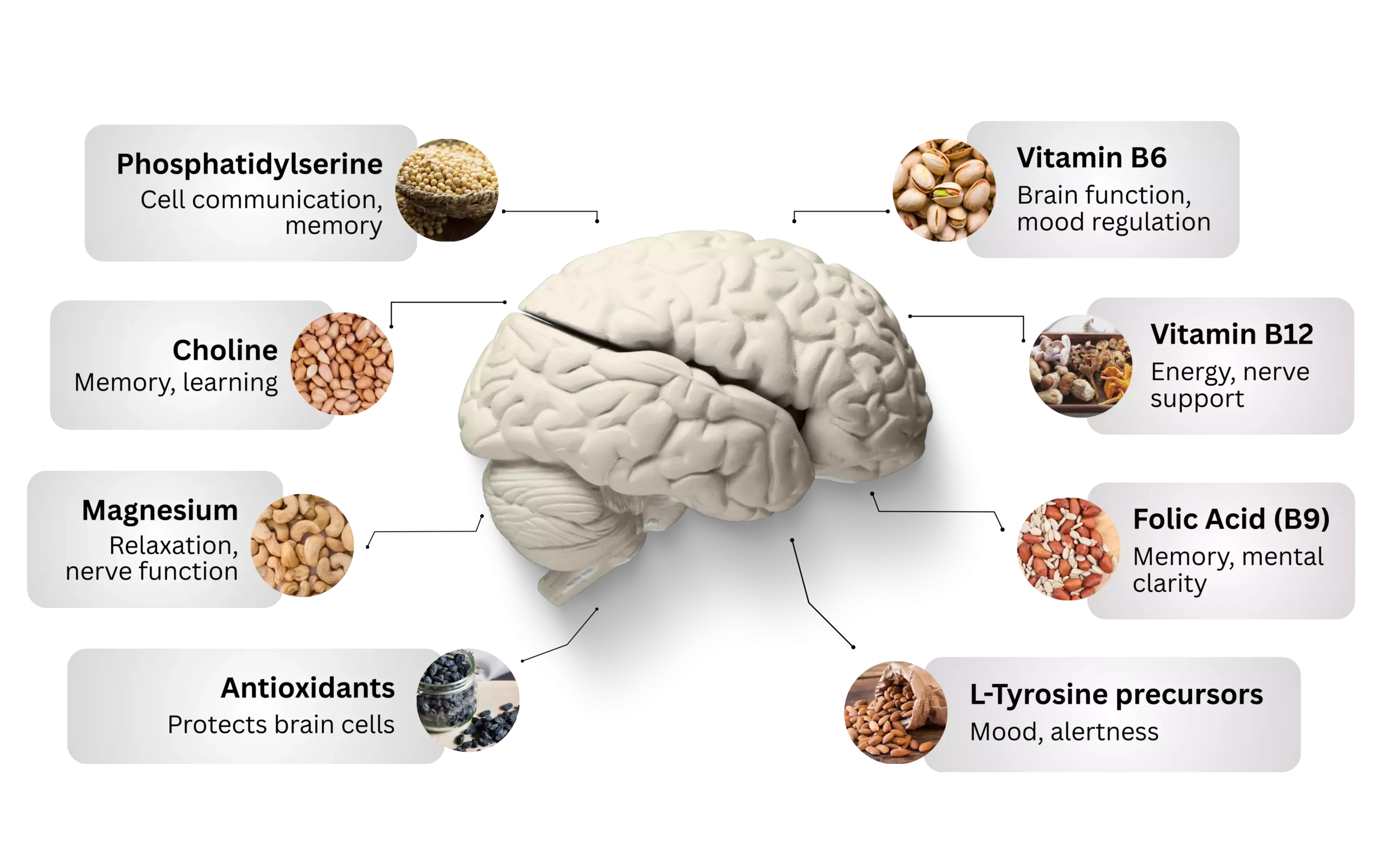 neuroxen brain health support supplement
