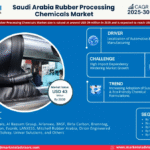 Saudi Arabia Rubber Processing Chemicals Market Research Report Forecast (2025-2030)