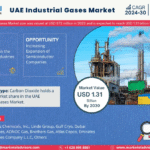 UAE Industrial Gases Market Research Report Forecast (2024-2030)