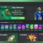 a-experiencia-de-jogo-inigualavel-no-bc-game_2.jpg