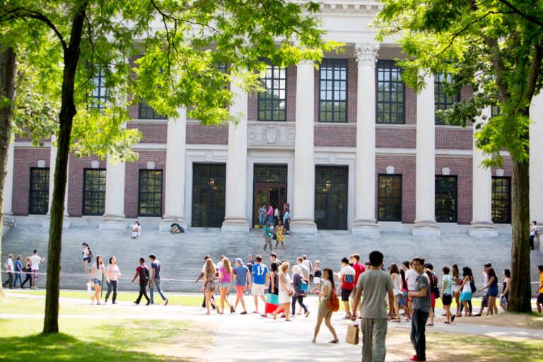best university in UAE