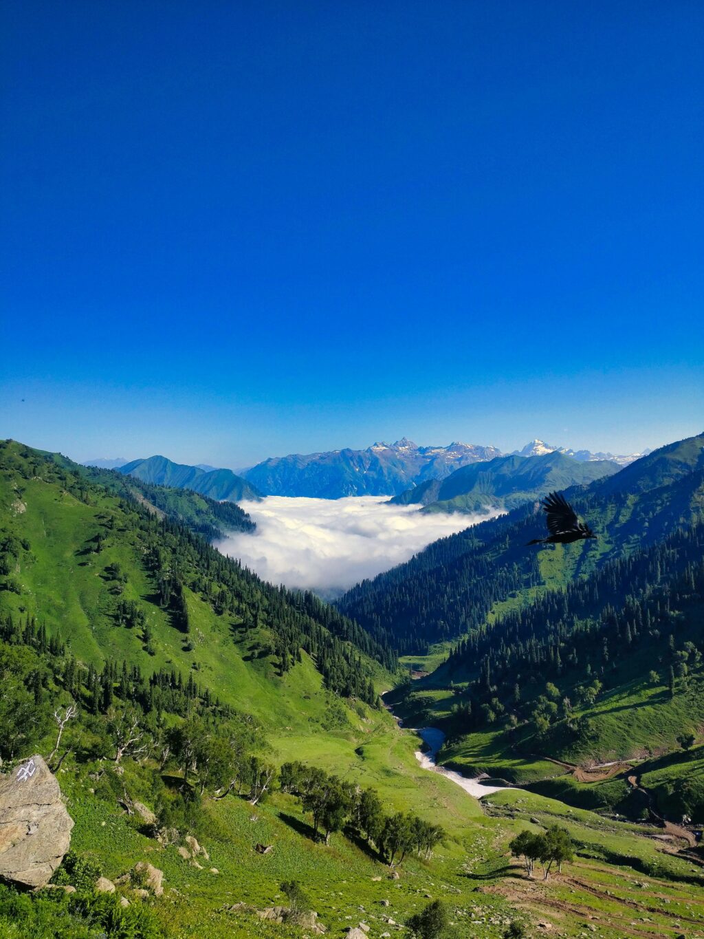 mathan-kumar-QKvh0qhI7_U-unsplash
