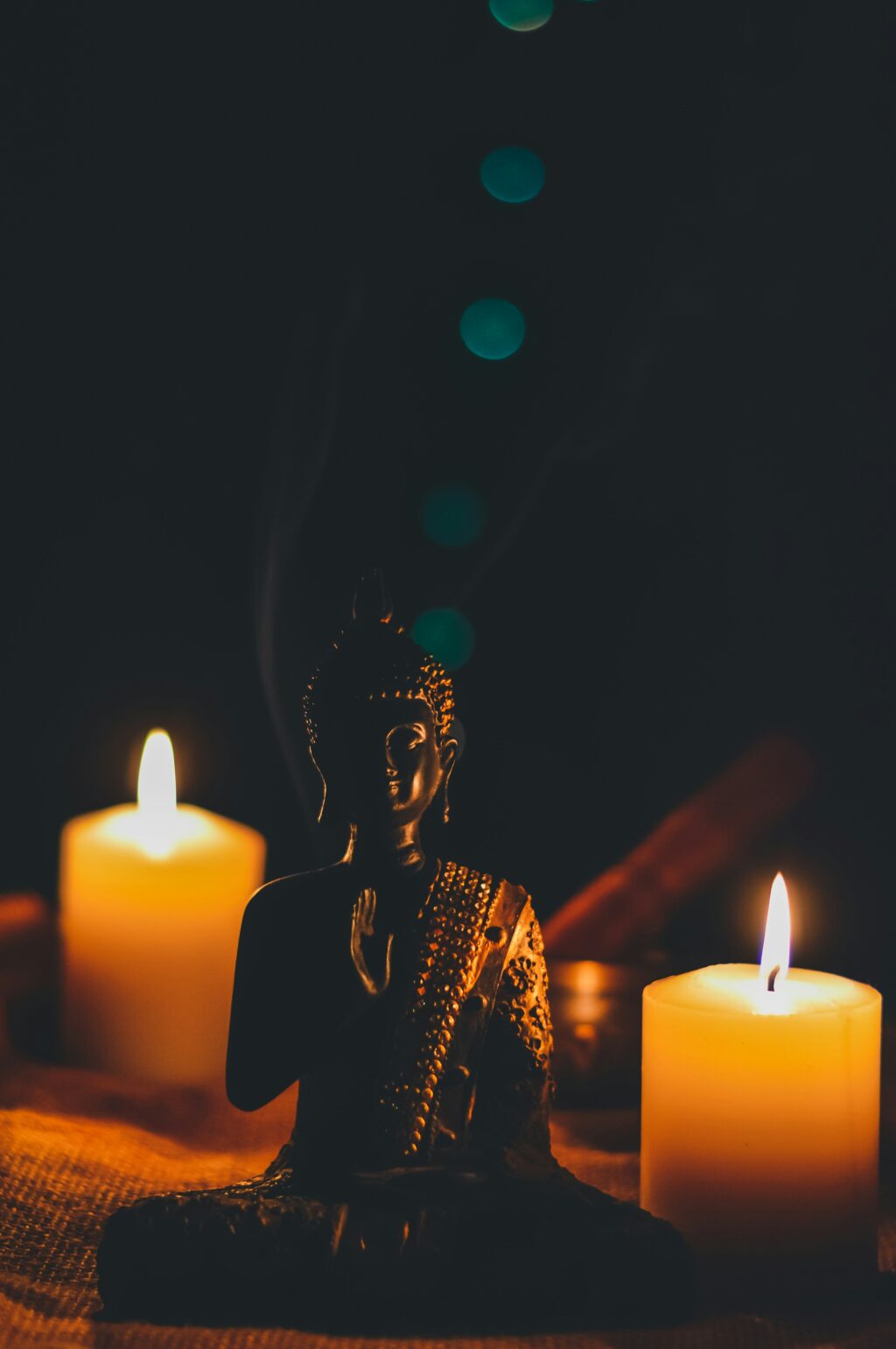 rajat-verma-lYHp4RcJNcY-unsplash