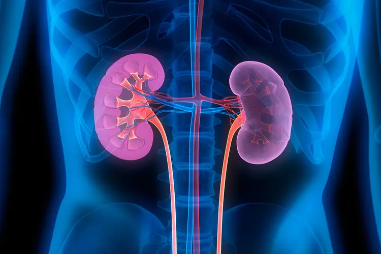 Kidney Disease