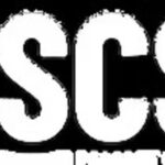 Perfect Swing Custom Sims