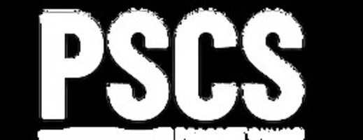 Perfect Swing Custom Sims