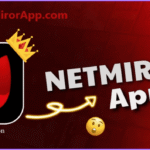NetMirrorApp