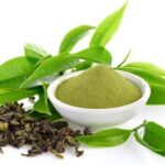 Green Tea Extract Powder