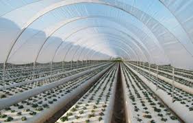 Plastic UV Protection