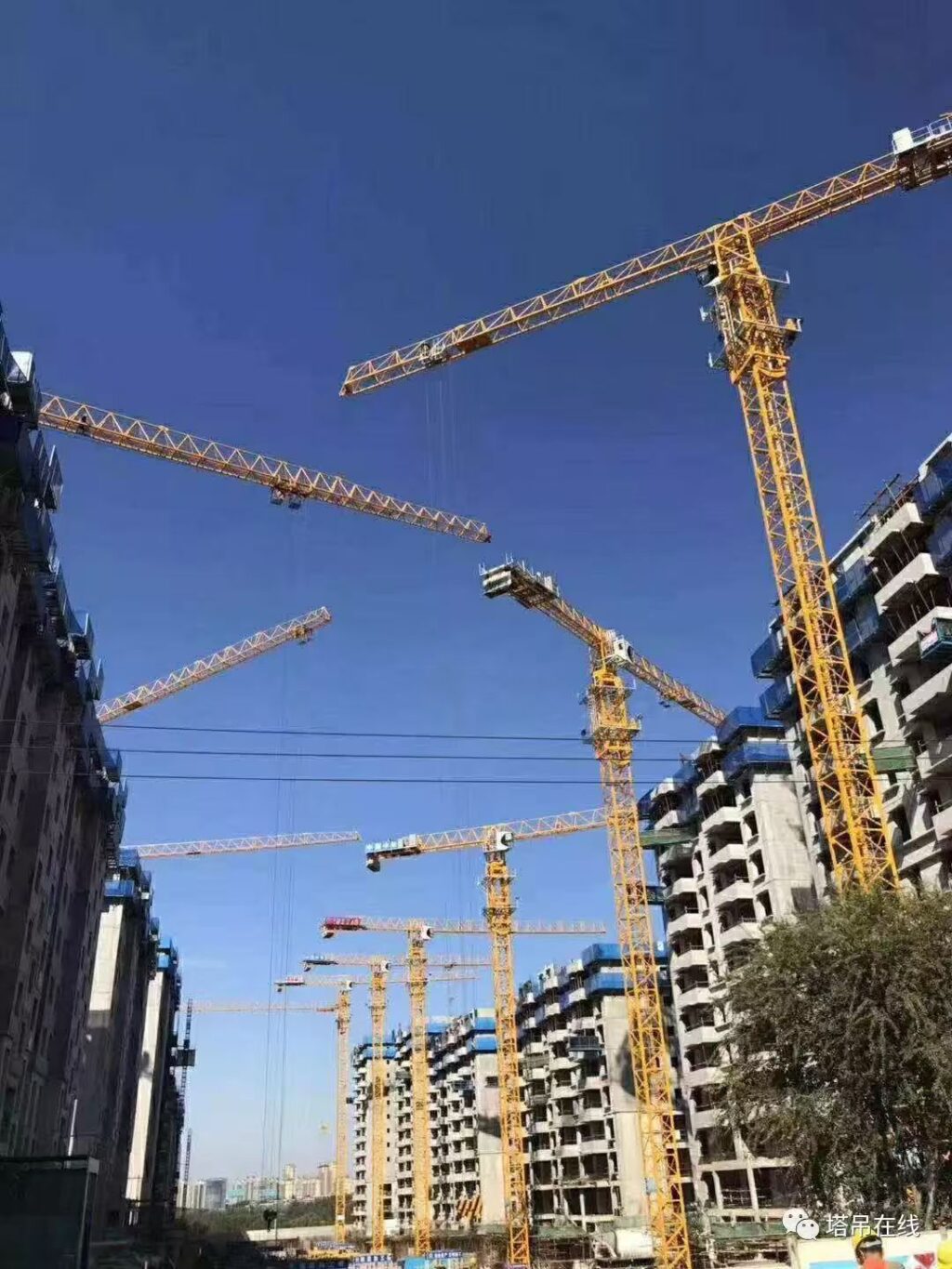 Tower Crane in Jubail