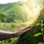 How Do Nature Stays Improve Relaxation and Outdoor Enjoyment?