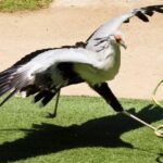 07abe51a4c48061e4c2f681ce1c60f4a[1]