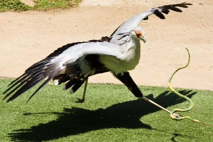 07abe51a4c48061e4c2f681ce1c60f4a[1]