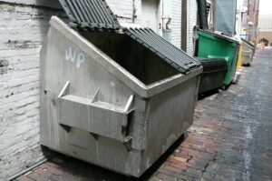 Affordable Dumpster Rental Services for Cleanup Projects