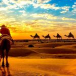 Experience the Magic of a Sunset Camel Ride in Essaouira