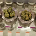 Fair Cannabis Prices Across a Wide Product Range