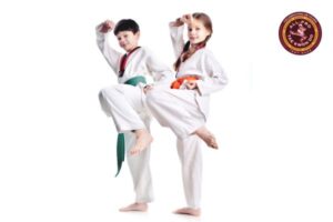 Kid';s Martial Art camp
