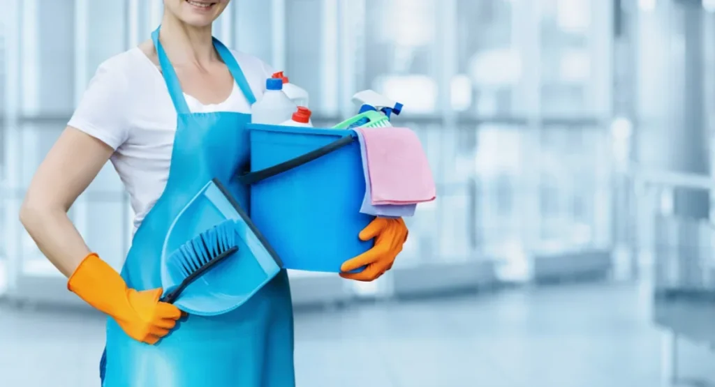 Regular Cleaning Services for Consistent Freshness