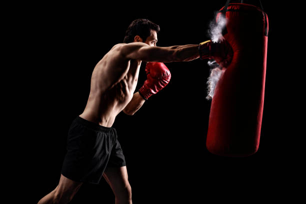Types of Punching Bags Explained And Is Boxing A Martial Art