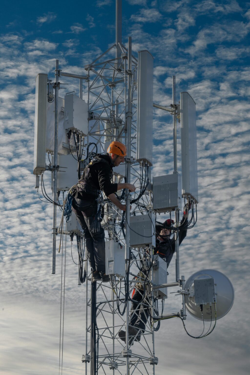 Wireless Network Services