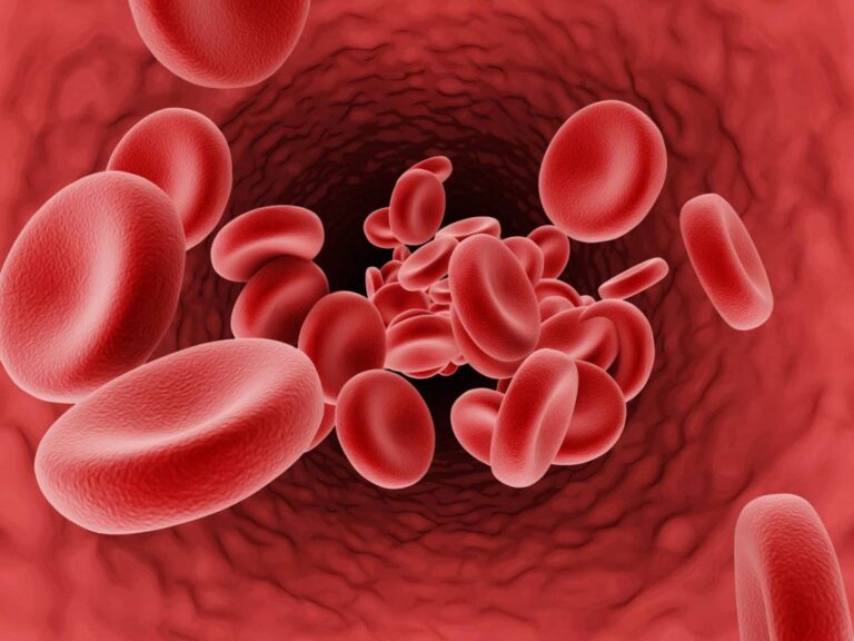 red-blood-cells-1024x768-1