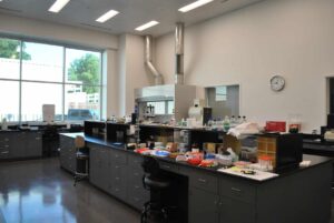 Custom Assay Development